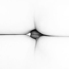 DSC_5528k.jpg