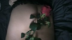 roza 022.jpg