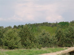 DSC08282.JPG