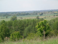 DSC08271.JPG