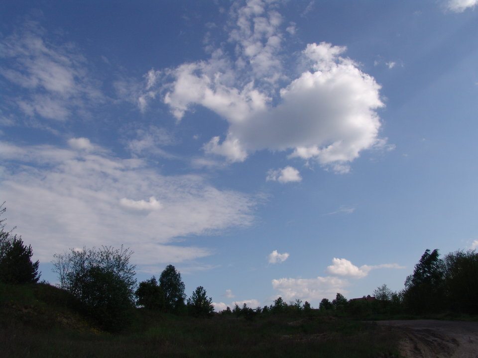 DSC08253.JPG - Kamilia