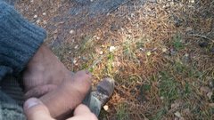 20161029_145124.jpg