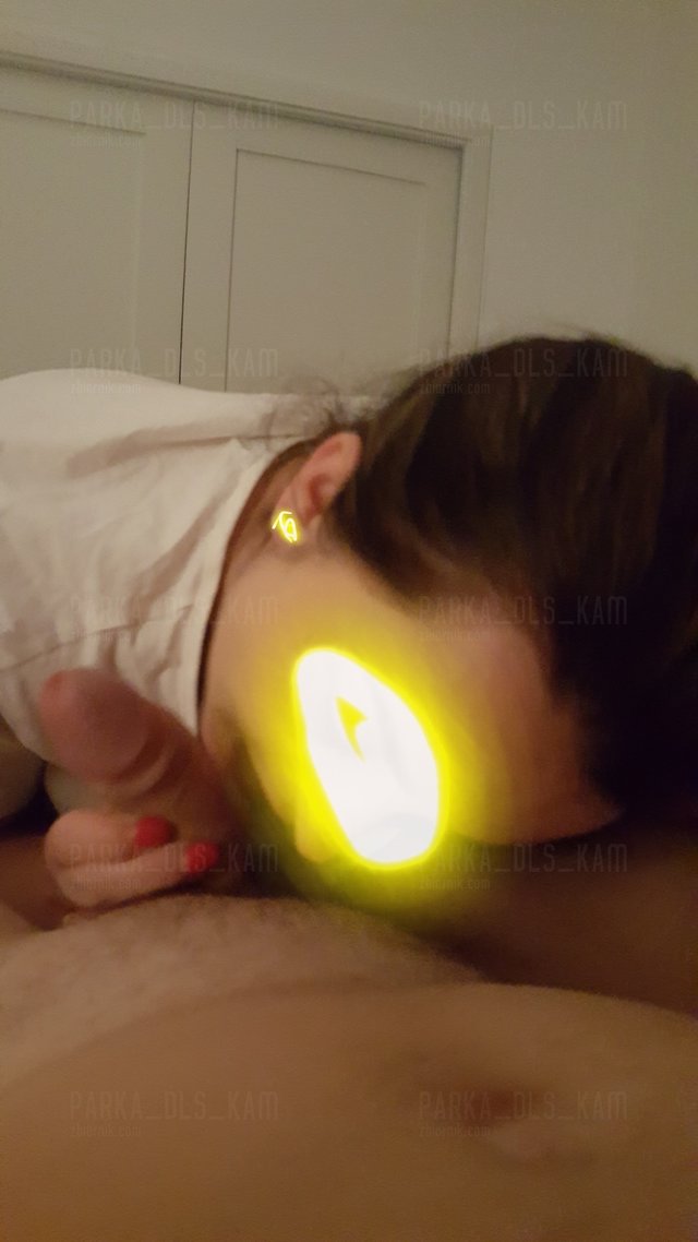 parka_dls_kam