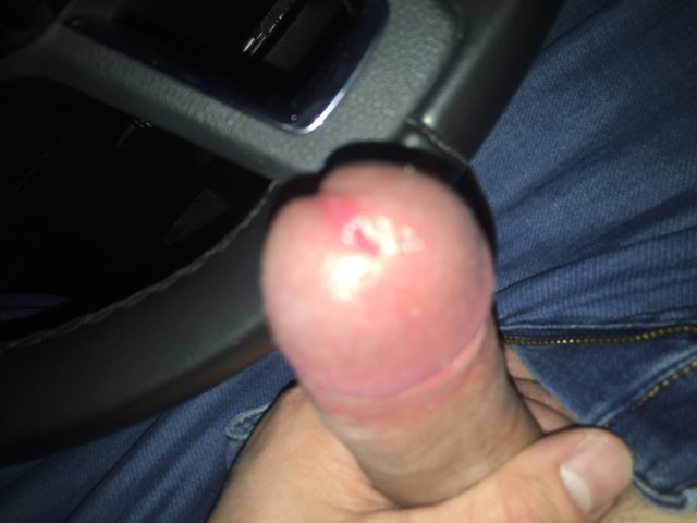 Nowi2016kato
