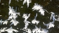 WP_20170109_040.jpg
