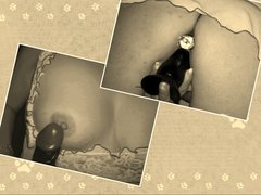 IMG_20170110_101656.JPG