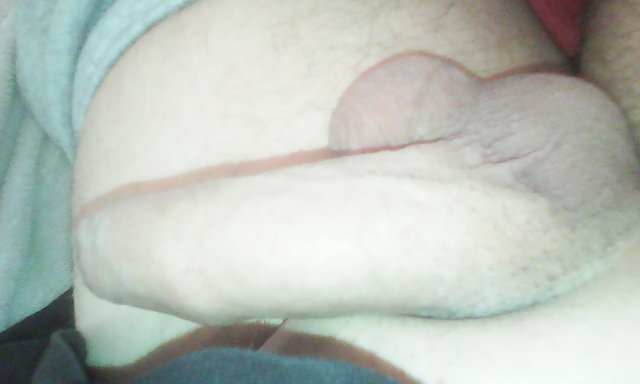 pannikt28