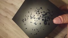 12314590_185774821766203_1015395442092207265_o.jpg