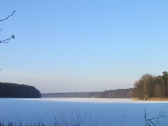 słoneczny zimowy...:)