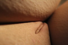 IMG_8944.JPG