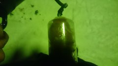 DSC_3782.JPG