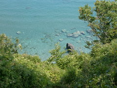 S7305761.JPG