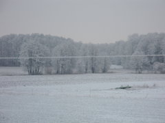 IMG_2582.JPG
