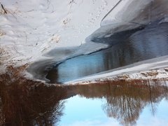 IMG_20170121_115027.jpg