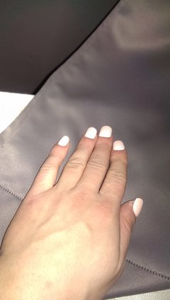 IMAG0130.jpg