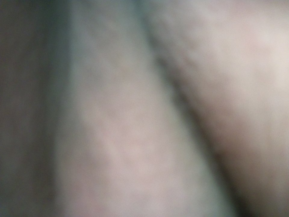 100_1461.JPG - Kamilia