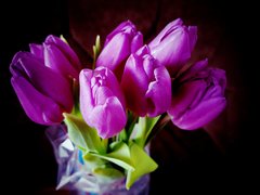 20170124_100233.jpg