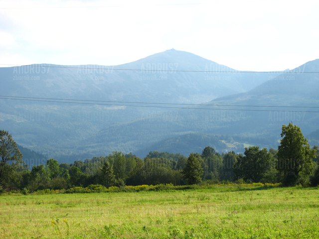 andrus7