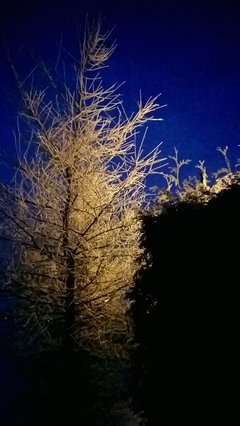WP_20170118_003.jpg