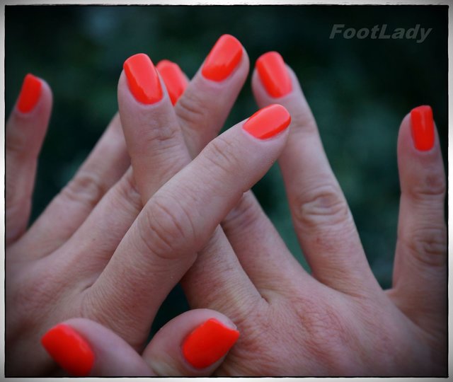 FeetLady
