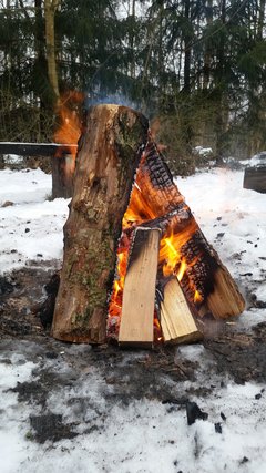 20170129_130134.jpg