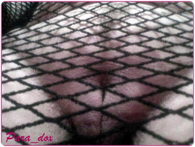 Para_dox