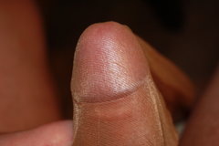 IMG_2237.JPG