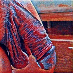 IMG_20170206_063147_processed.jpg