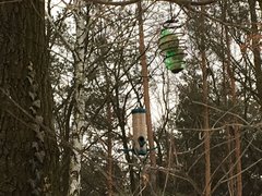 IMG_3331.JPG