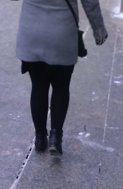 DSC_0241cz.jpg
