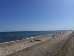 DSC_0177.JPG
