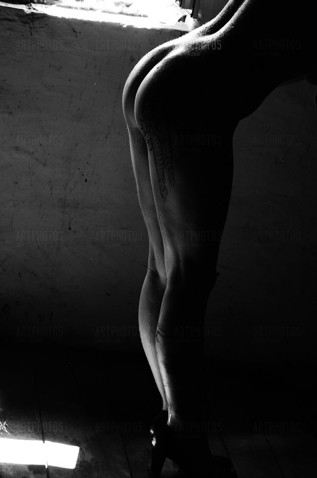 artphotos