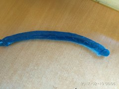 IMG_20170210_080810.jpg