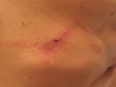 IMG_0929.JPG