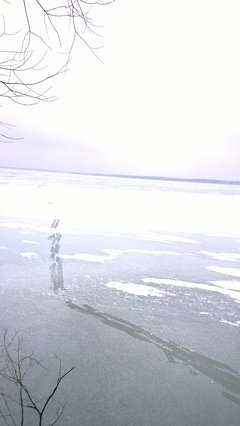 WP_20170206_025[1].jpg