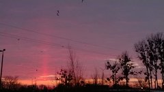 WP_20170210_018[1].jpg