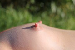 IMG_4630.JPG
