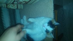20170209_183236.jpg