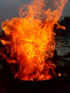 20170209_075059.jpg