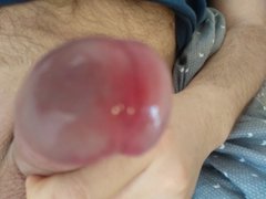 IMG_20161230_081556_1.jpg