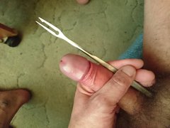 DSC_1351.JPG
