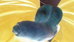 20170215_185910.jpg