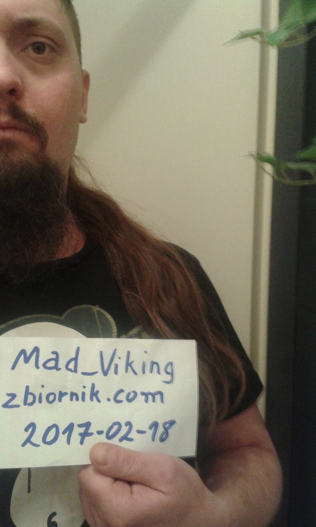 Mad_Viking