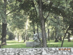 P9080471.JPG