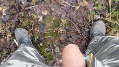 20170221_095347.jpg