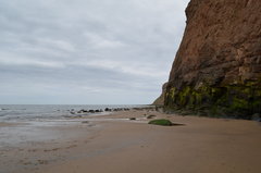 DSC_0015.JPG