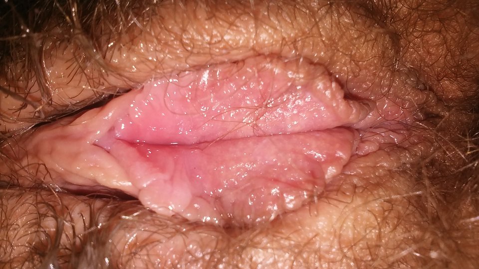 20170224_071754.jpg - hansetka