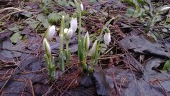 WP_20170224_007.jpg