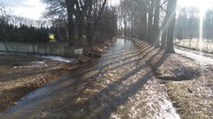 20170225_141456.jpg