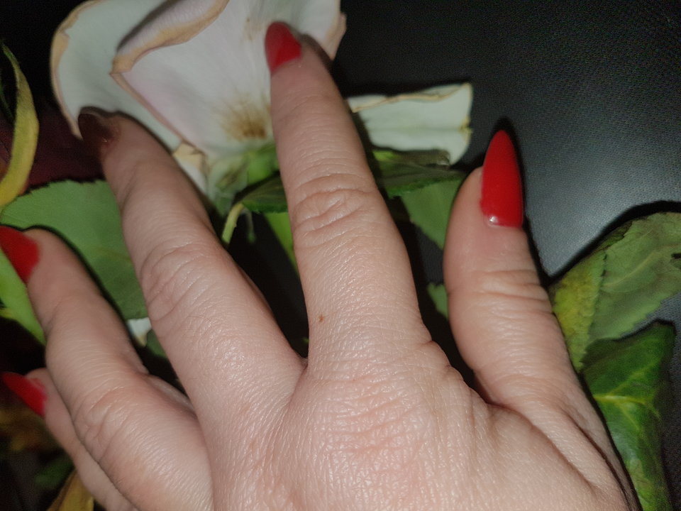 20170227_185135.jpg - SheeLove